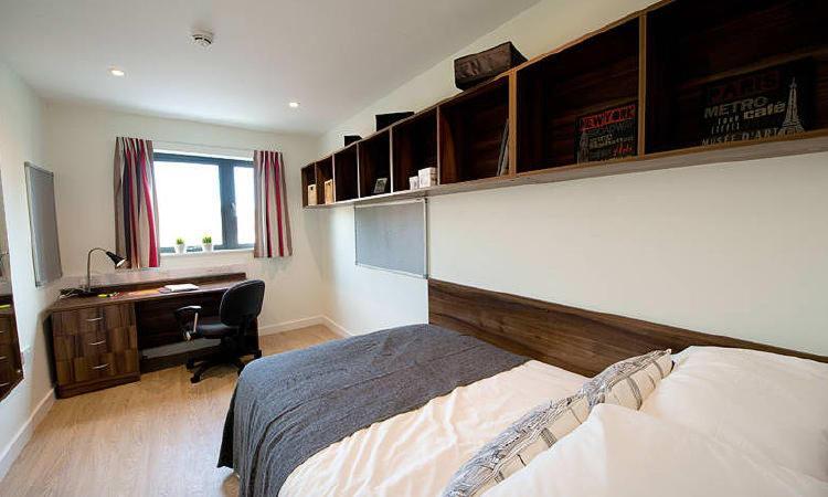 Zeni 3 Bed Apartment In Central Exeter Exterior foto
